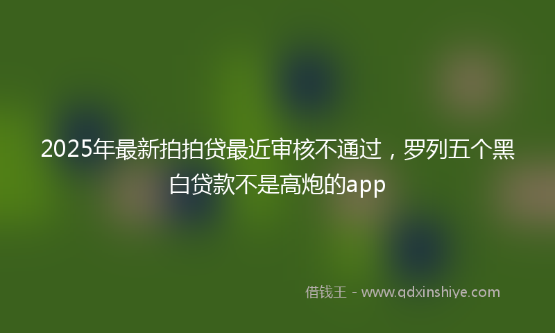 2025年最新拍拍贷最近审核不通过，罗列五个黑白贷款不是高炮的app