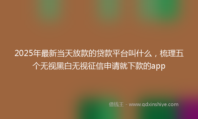 2025年最新当天放款的贷款平台叫什么，梳理五个无视黑白无视征信申请就下款的app