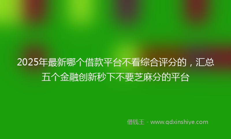 2025年最新哪个借款平台不看综合评分的，汇总五个金融创新秒下不要芝麻分的平台