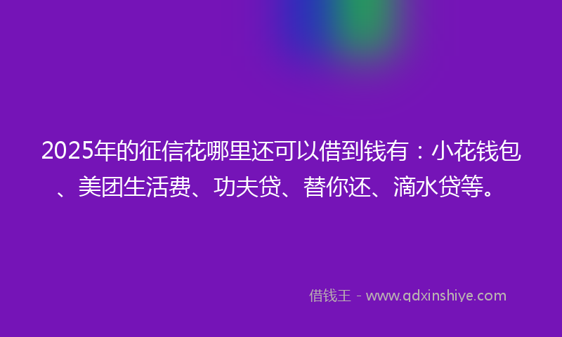 2025年的征信花哪里还可以借到钱有：小花钱包、美团生活费、功夫贷、替你还、滴水贷等。