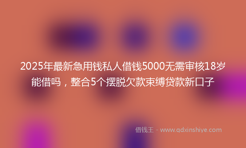 2025年最新急用钱私人借钱5000无需审核18岁能借吗，整合5个摆脱欠款束缚贷款新口子