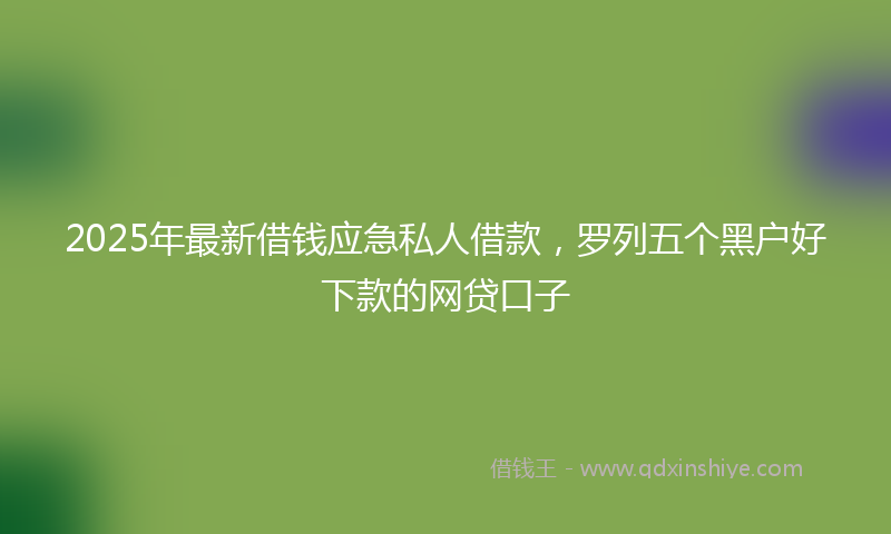 2025年最新借钱应急私人借款，罗列五个黑户好下款的网贷口子