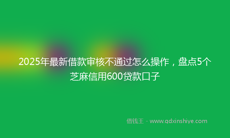 2025年最新借款审核不通过怎么操作，盘点5个芝麻信用600贷款口子
