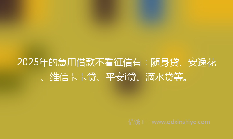 2025年的急用借款不看征信有：随身贷、安逸花、维信卡卡贷、平安i贷、滴水贷等。