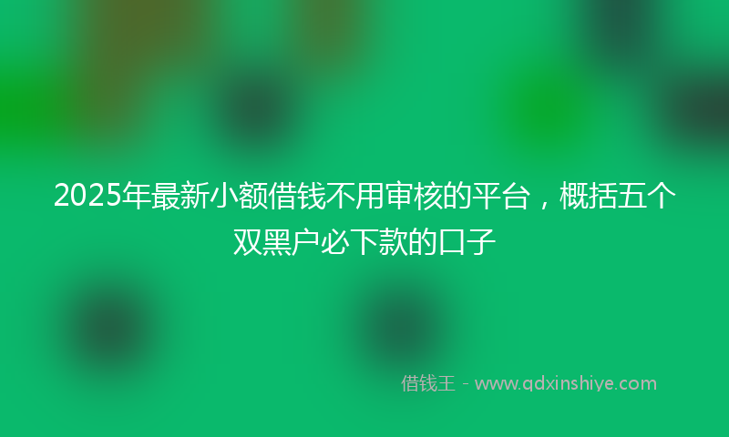 2025年最新小额借钱不用审核的平台，概括五个双黑户必下款的口子