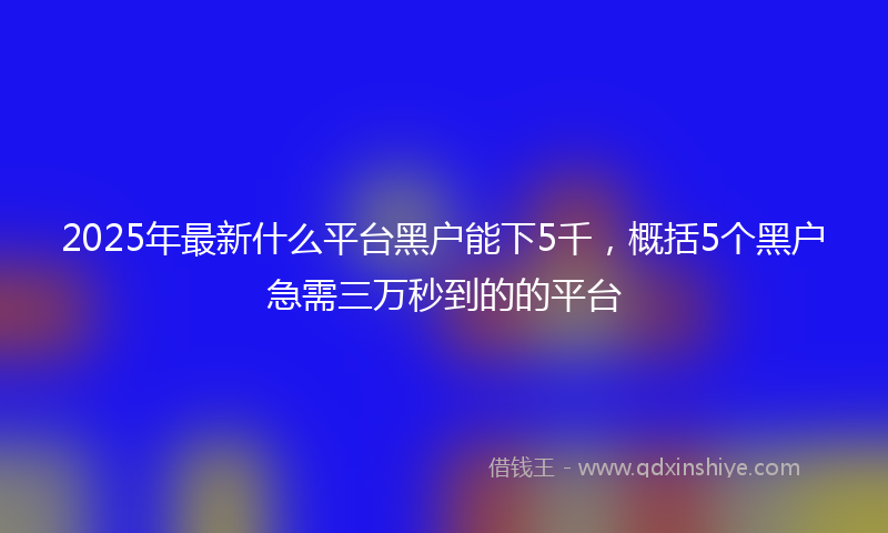 2025年最新什么平台黑户能下5千，概括5个黑户急需三万秒到的的平台