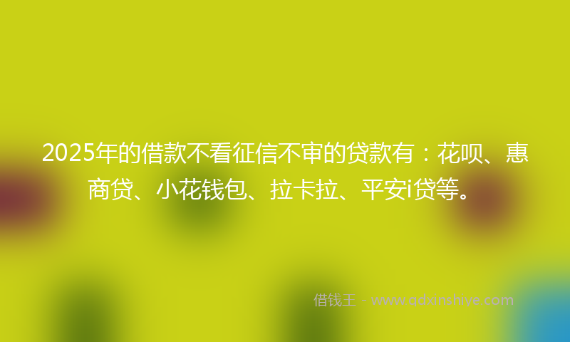 2025年的借款不看征信不审的贷款有：花呗、惠商贷、小花钱包、拉卡拉、平安i贷等。