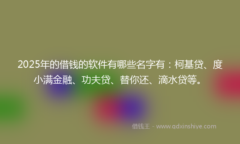 2025年的借钱的软件有哪些名字有：柯基贷、度小满金融、功夫贷、替你还、滴水贷等。