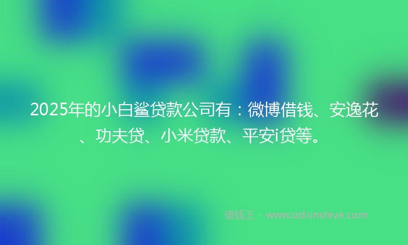 2025年的小白鲨贷款公司有：微博借钱、安逸花、功夫贷、小米贷款、平安i贷等。