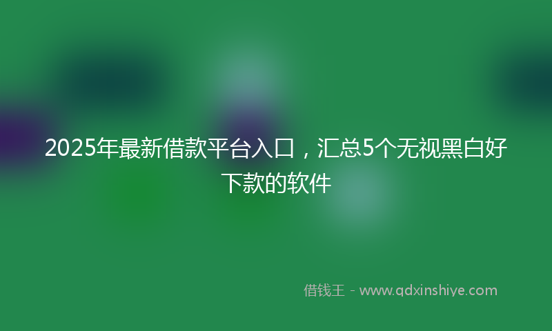 2025年最新借款平台入口，汇总5个无视黑白好下款的软件
