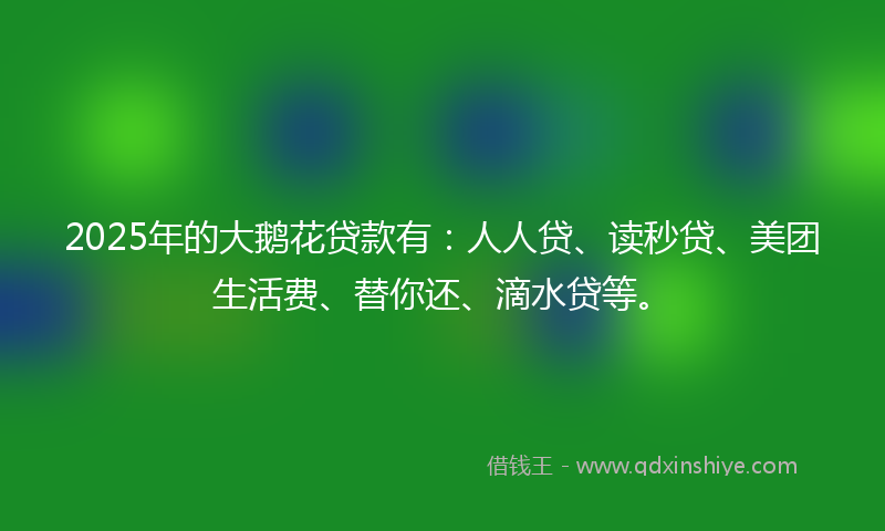 2025年的大鹅花贷款有：人人贷、读秒贷、美团生活费、替你还、滴水贷等。