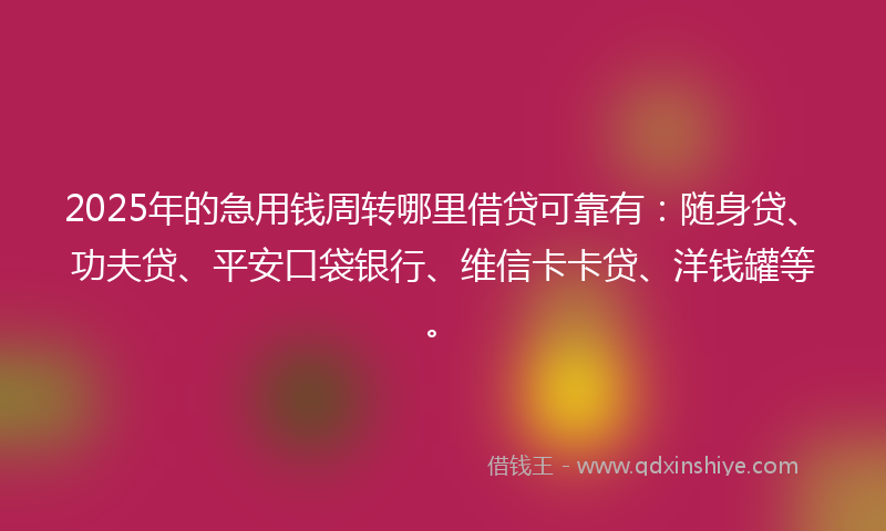2025年的急用钱周转哪里借贷可靠有：随身贷、功夫贷、平安口袋银行、维信卡卡贷、洋钱罐等。