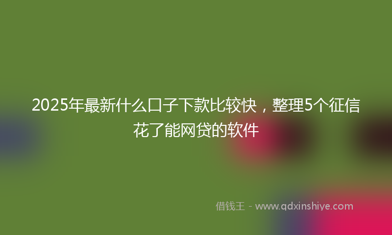 2025年最新什么口子下款比较快，整理5个征信花了能网贷的软件