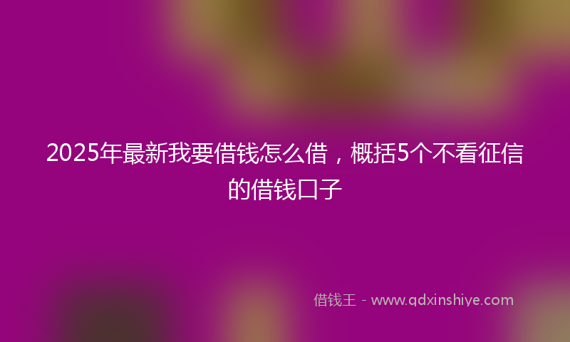 2025年最新我要借钱怎么借，概括5个不看征信的借钱口子