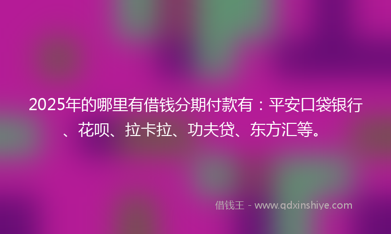 2025年的哪里有借钱分期付款有：平安口袋银行、花呗、拉卡拉、功夫贷、东方汇等。