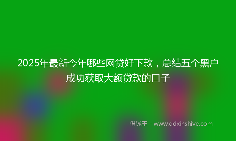2025年最新今年哪些网贷好下款，总结五个黑户成功获取大额贷款的口子