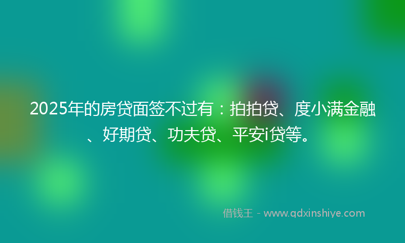 2025年的房贷面签不过有：拍拍贷、度小满金融、好期贷、功夫贷、平安i贷等。