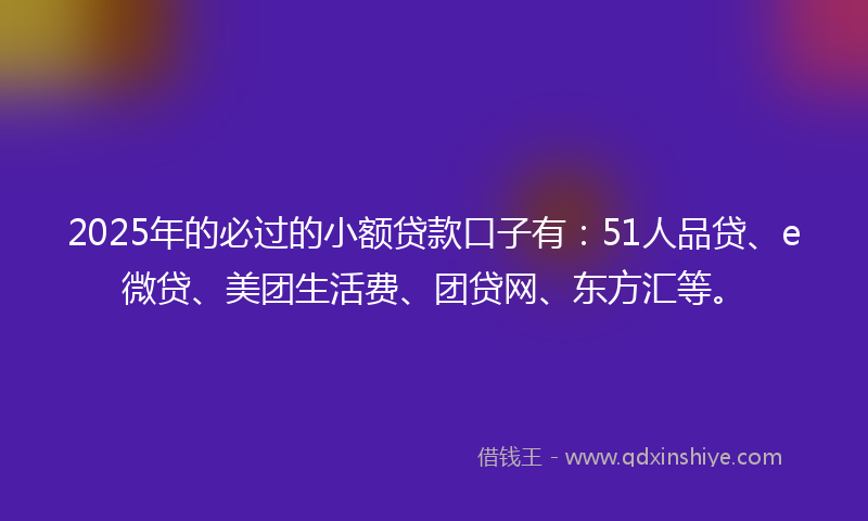 2025年的必过的小额贷款口子有：51人品贷、e微贷、美团生活费、团贷网、东方汇等。