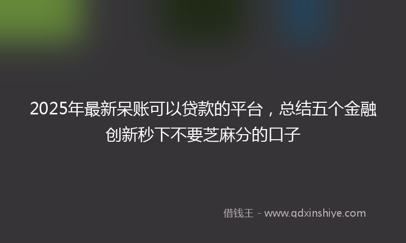 2025年最新呆账可以贷款的平台，总结五个金融创新秒下不要芝麻分的口子