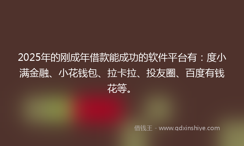 2025年的刚成年借款能成功的软件平台有：度小满金融、小花钱包、拉卡拉、投友圈、百度有钱花等。