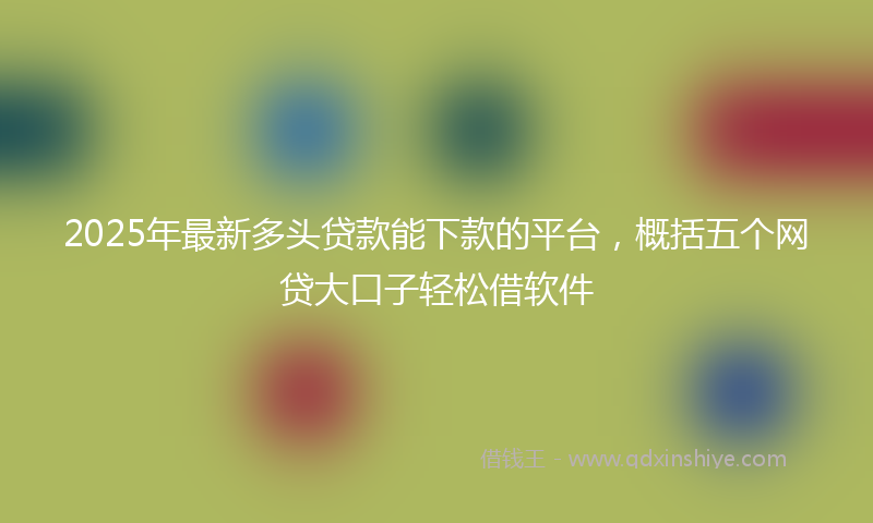 2025年最新多头贷款能下款的平台，概括五个网贷大口子轻松借软件