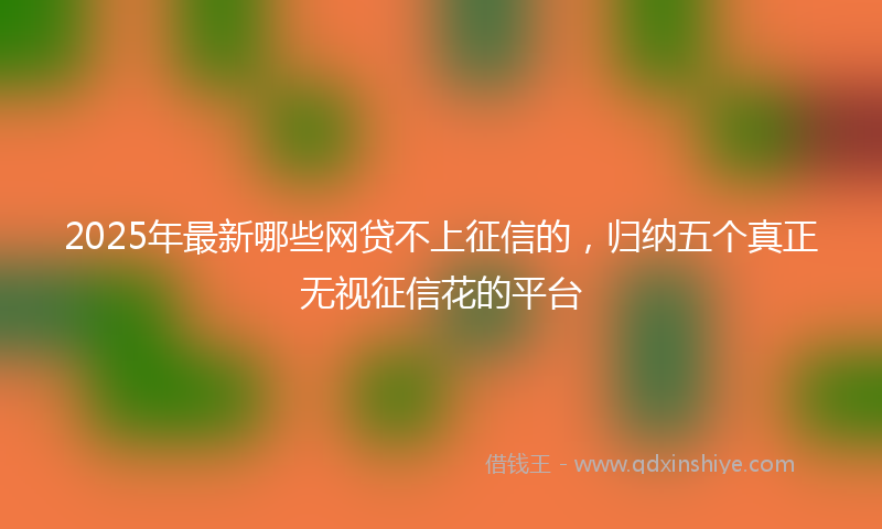 2025年最新哪些网贷不上征信的，归纳五个真正无视征信花的平台