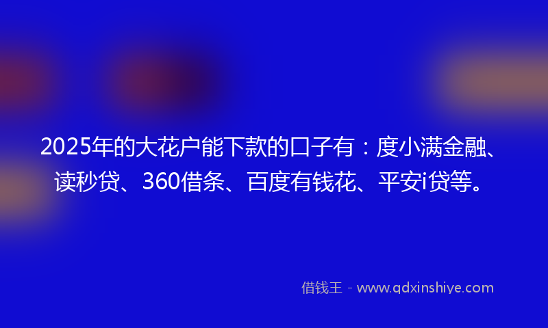 2025年的大花户能下款的口子有：度小满金融、读秒贷、360借条、百度有钱花、平安i贷等。