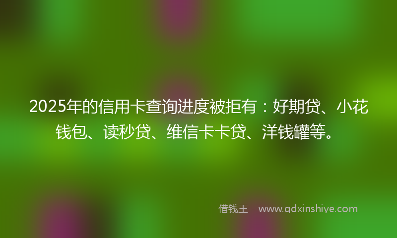 2025年的信用卡查询进度被拒有：好期贷、小花钱包、读秒贷、维信卡卡贷、洋钱罐等。