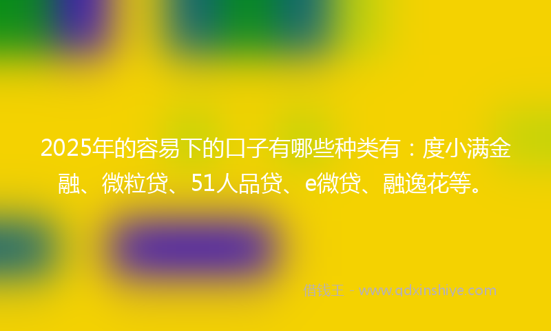 2025年的容易下的口子有哪些种类有：度小满金融、微粒贷、51人品贷、e微贷、融逸花等。