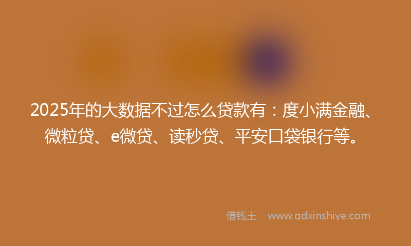 2025年的大数据不过怎么贷款有：度小满金融、微粒贷、e微贷、读秒贷、平安口袋银行等。