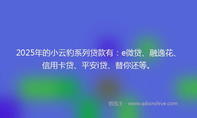2025年的小云豹系列贷款有：e微贷、融逸花、信用卡贷、平安i贷、替你还等。