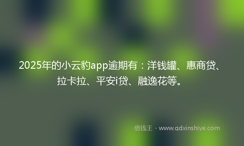 2025年的小云豹app逾期有：洋钱罐、惠商贷、拉卡拉、平安i贷、融逸花等。