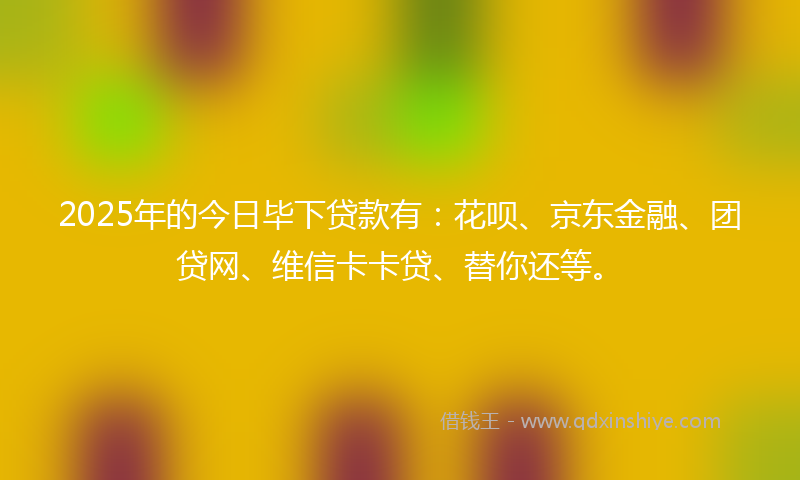 2025年的今日毕下贷款有：花呗、京东金融、团贷网、维信卡卡贷、替你还等。