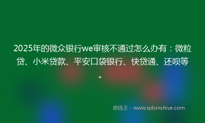 2025年的微众银行we审核不通过怎么办有：微粒贷、小米贷款、平安口袋银行、快贷通、还呗等。