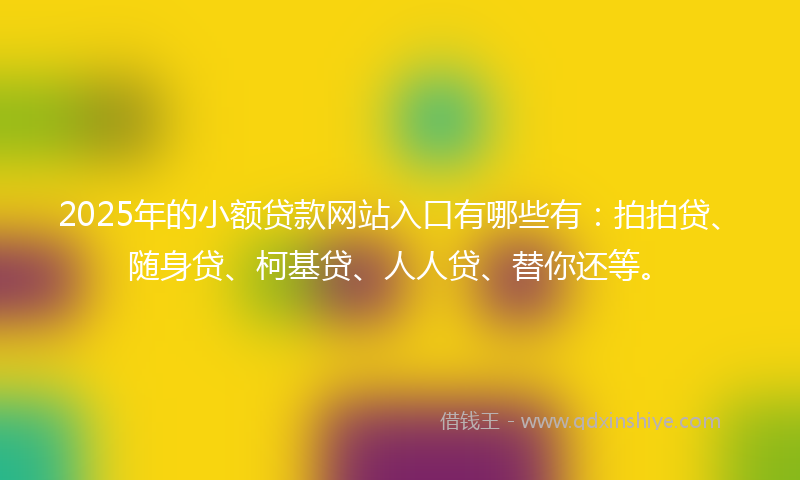 2025年的小额贷款网站入口有哪些有：拍拍贷、随身贷、柯基贷、人人贷、替你还等。