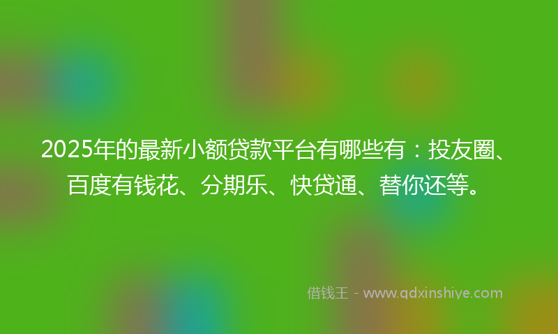 2025年的最新小额贷款平台有哪些有：投友圈、百度有钱花、分期乐、快贷通、替你还等。