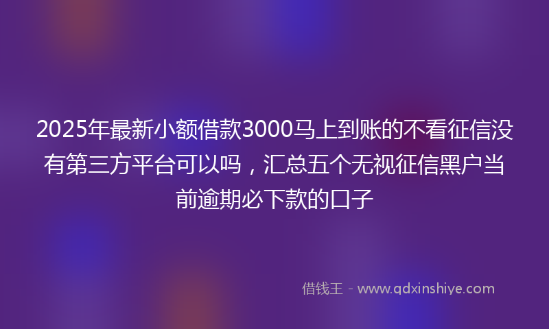 2025年最新小额借款3000马上到账的不看征信没有第三方平台可以吗，汇总五个无视征信黑户当前逾期必下款的口子