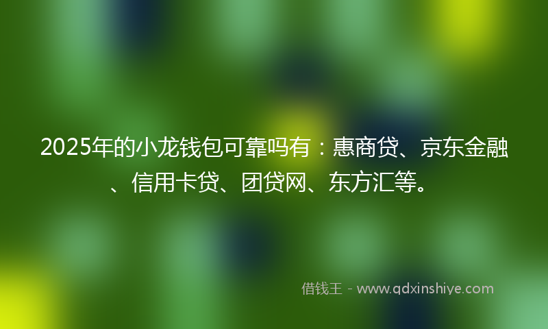 2025年的小龙钱包可靠吗有：惠商贷、京东金融、信用卡贷、团贷网、东方汇等。
