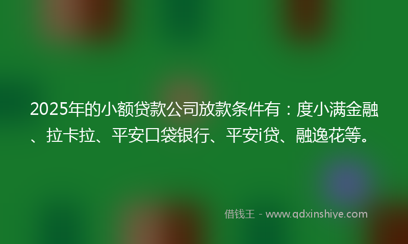 2025年的小额贷款公司放款条件有：度小满金融、拉卡拉、平安口袋银行、平安i贷、融逸花等。