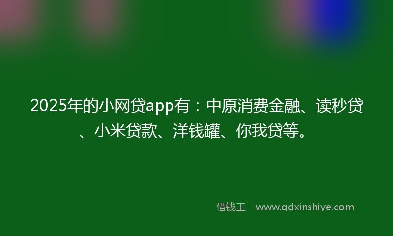 2025年的小网贷app有：中原消费金融、读秒贷、小米贷款、洋钱罐、你我贷等。