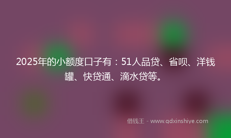 2025年的小额度口子有：51人品贷、省呗、洋钱罐、快贷通、滴水贷等。