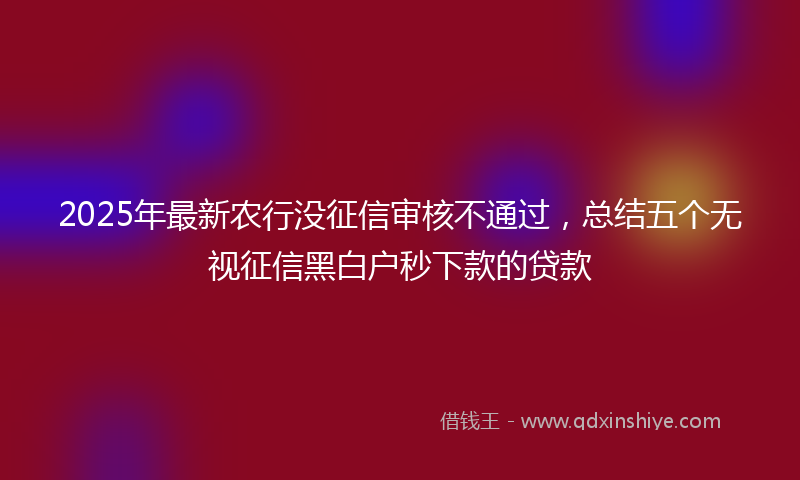 2025年最新农行没征信审核不通过，总结五个无视征信黑白户秒下款的贷款