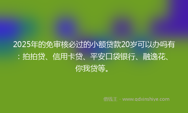2025年的免审核必过的小额贷款20岁可以办吗有：拍拍贷、信用卡贷、平安口袋银行、融逸花、你我贷等。