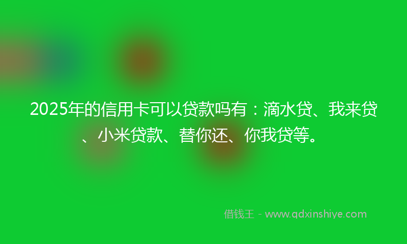 2025年的信用卡可以贷款吗有：滴水贷、我来贷、小米贷款、替你还、你我贷等。