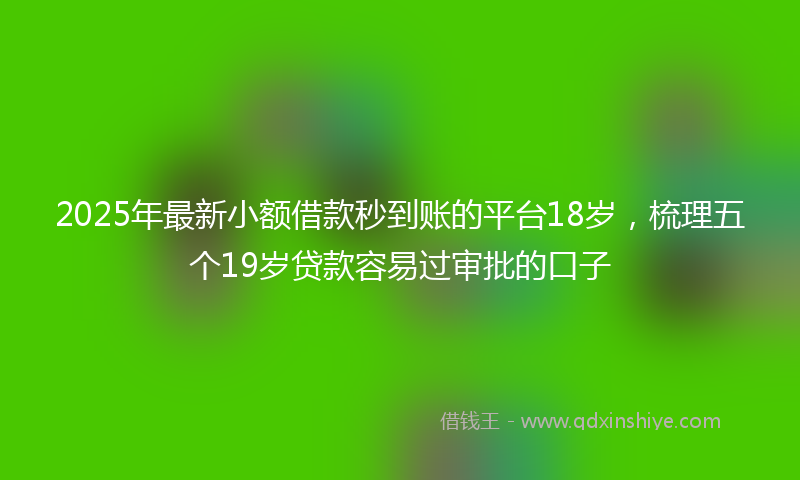 2025年最新小额借款秒到账的平台18岁，梳理五个19岁贷款容易过审批的口子