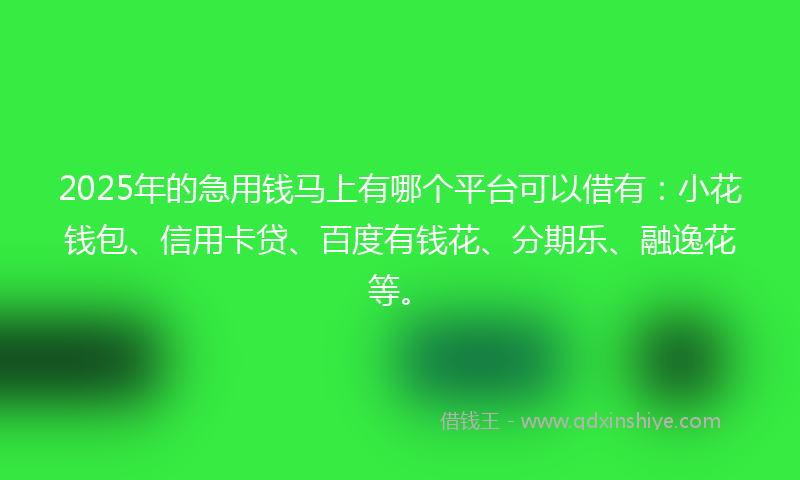 2025年的急用钱马上有哪个平台可以借有：小花钱包、信用卡贷、百度有钱花、分期乐、融逸花等。