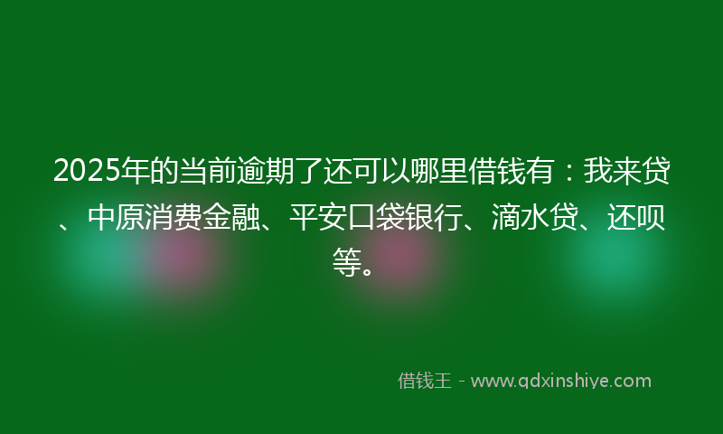 2025年的当前逾期了还可以哪里借钱有:我来贷、中原消费金融、平安口袋银行、滴水贷、还呗等。