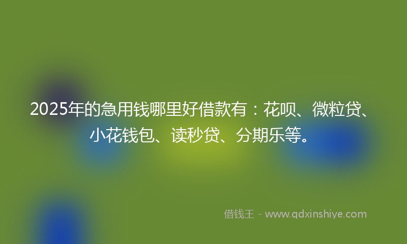 2025年的急用钱哪里好借款有：花呗、微粒贷、小花钱包、读秒贷、分期乐等。