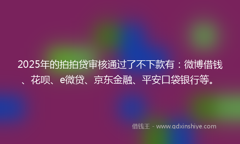 2025年的拍拍贷审核通过了不下款有：微博借钱、花呗、e微贷、京东金融、平安口袋银行等。