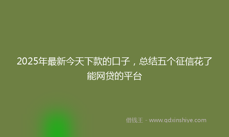 2025年最新今天下款的口子，总结五个征信花了能网贷的平台